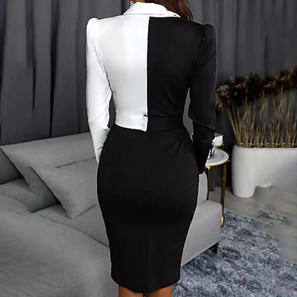Black and White Office Fitted Dress Formal Events and Business Meetings Elegant Design